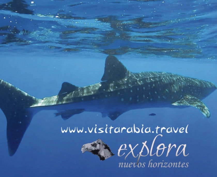 visitarabia agencia viajes organizados de buceo en la feria internacional mediterranean diving show
